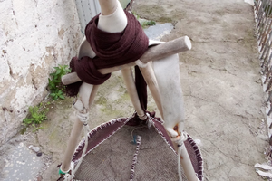 Rastrello per telline