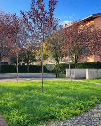 2 LOCALI A CASSANO D'ADDA