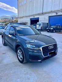 Auto Audi Q 2