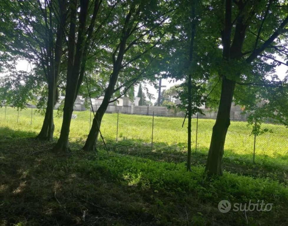 Immobile in asta di 34378 m² a Treviso - Vista 4
