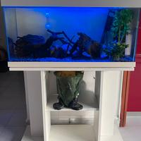 Acquario completo con mobile 120Litri