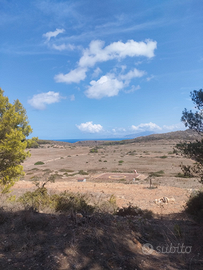 Terreno agricolo a Levanzo