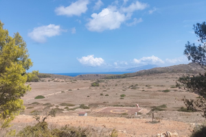 Terreno agricolo a Levanzo