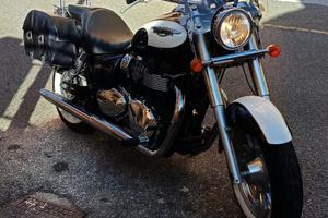 Triumph America - 2011