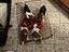 Immagine 4