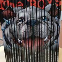 collezione the boys fumetti 