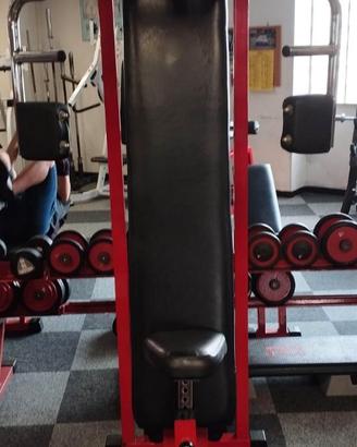 PECTORAL MACHINE "TECHNOGYM"
