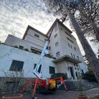 RAGNO PALAZZANI TSJ 34