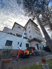 RAGNO PALAZZANI TSJ 34