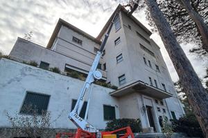 RAGNO PALAZZANI TSJ 34