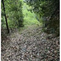 Rustico/Casale/Corte Serravalle Pistoiese