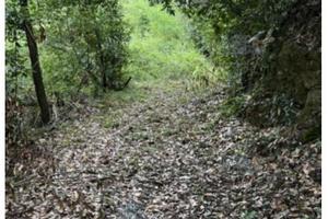 Rustico/Casale/Corte Serravalle Pistoiese