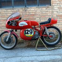 Aermacchi H.D.250 Ala D'oro - 1965