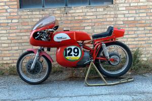 Aermacchi H.D.250 Ala D'oro - 1965