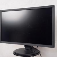 Eizo Monitor PC