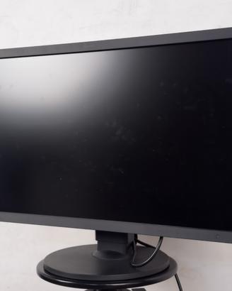 Eizo Monitor PC