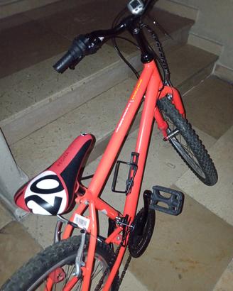 bicicletta ragazzo