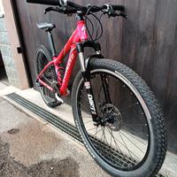 mtb Specialized 