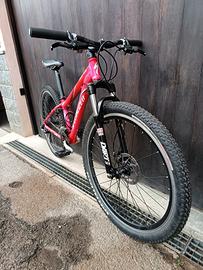 mtb Specialized 