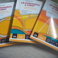 libri di matematica 