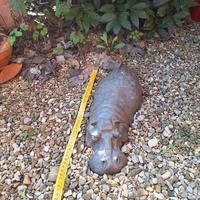 arredi giardino terracotta varia