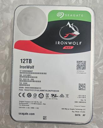 2 HDD IronWolf 12TB