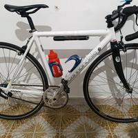 single Speed cannondale