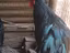 Immagine 6