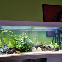 Acquario Juwel 240