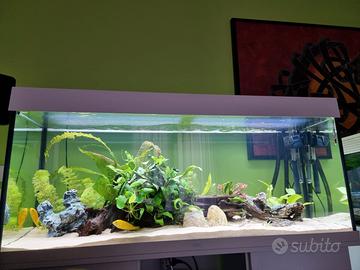 Acquario Juwel 240