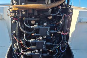 Due motori mercury 150 optimax