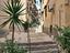 Immagine 26
