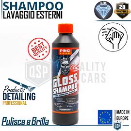 Shampoo PROFESSIONALE Lavaggio Auto CAR DETAILING