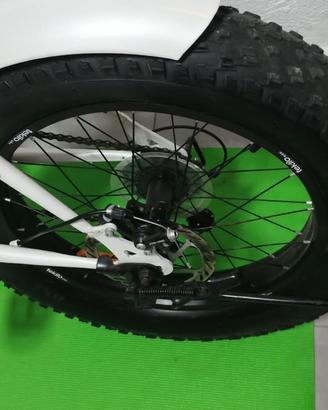 Bicicletta FatBike
