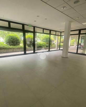 NEGOZIO A REGGIO NELL'EMILIA