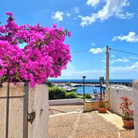 VILLA SINGOLA A SAN FELICE CIRCEO