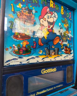 flipper Mario Bros 