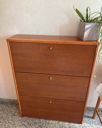 Scarpiera marrone