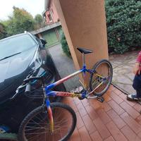 Bicicletta da ragazzo con marce