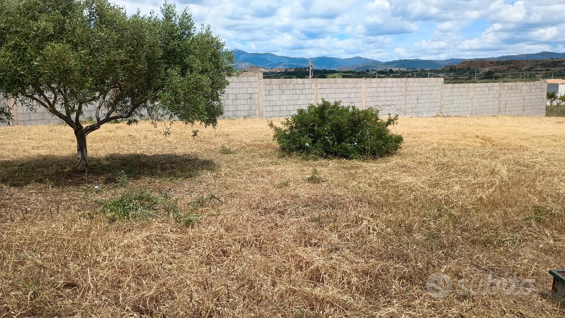 terreno agricolo - Vista 5