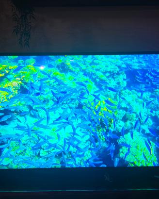 Tv Samsung The frame 43" 4k QLED