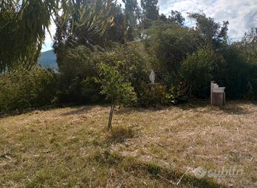 TERRENO AGRICOLO 
