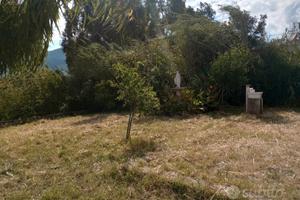 TERRENO AGRICOLO 