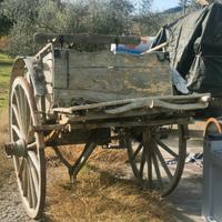  Calesse/Carro