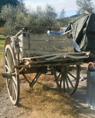  Calesse/Carro