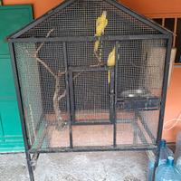 Voliera con ruote 