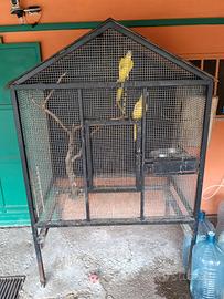 Voliera con ruote 