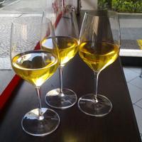 Bar tabaccheria con cucina 15KM da Bologna BT343