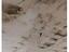 Immagine 10