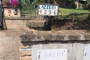 Terreno + piante di olivo